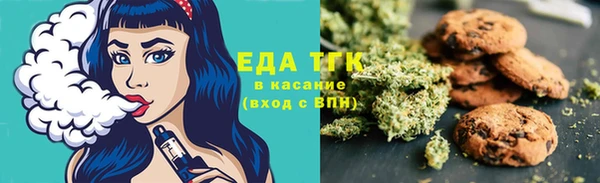 хмурый Инсар