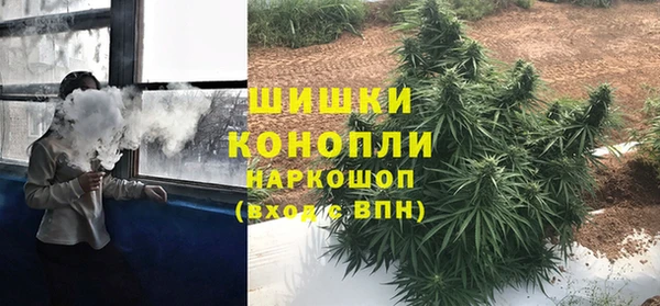 ешки Иннополис