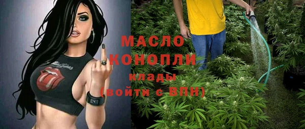 хмурый Инсар