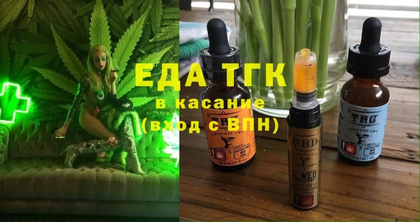 хмурый Инсар