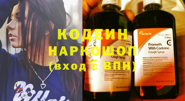 ешки Иннополис