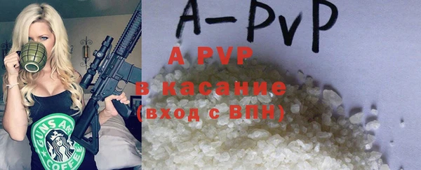 хмурый Инсар
