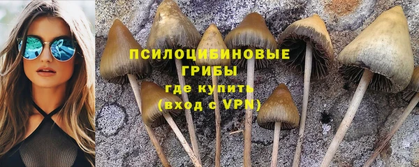 ешки Иннополис