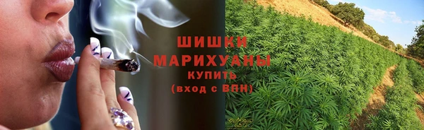 ешки Иннополис