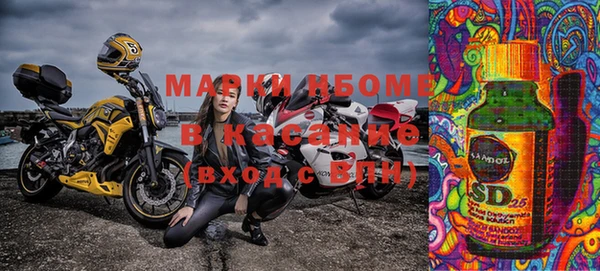 хмурый Инсар